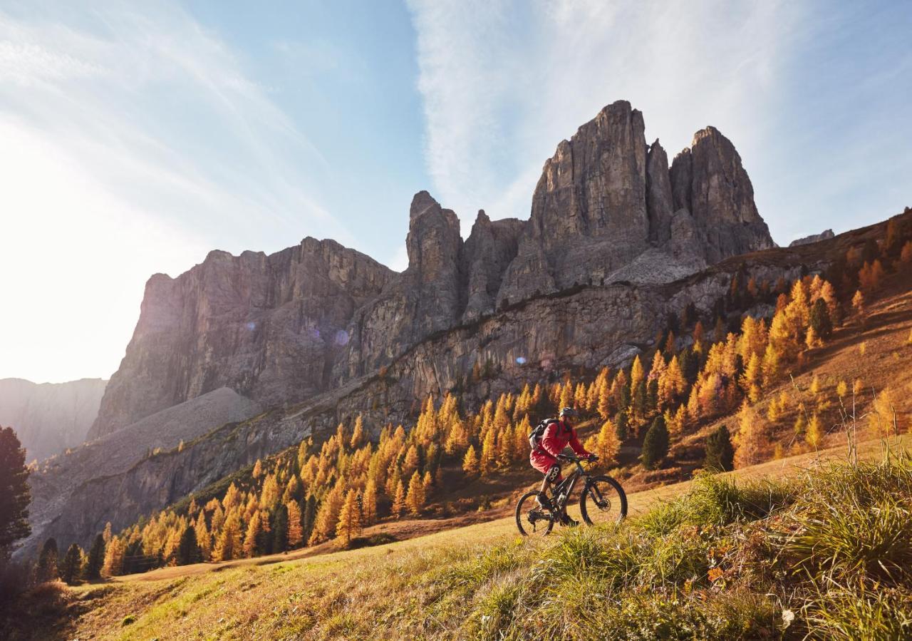 Отель Chalet Elisabeth Dolomites Alpin & Charme Сельва-ди-Валь-Гардена Экстерьер фото