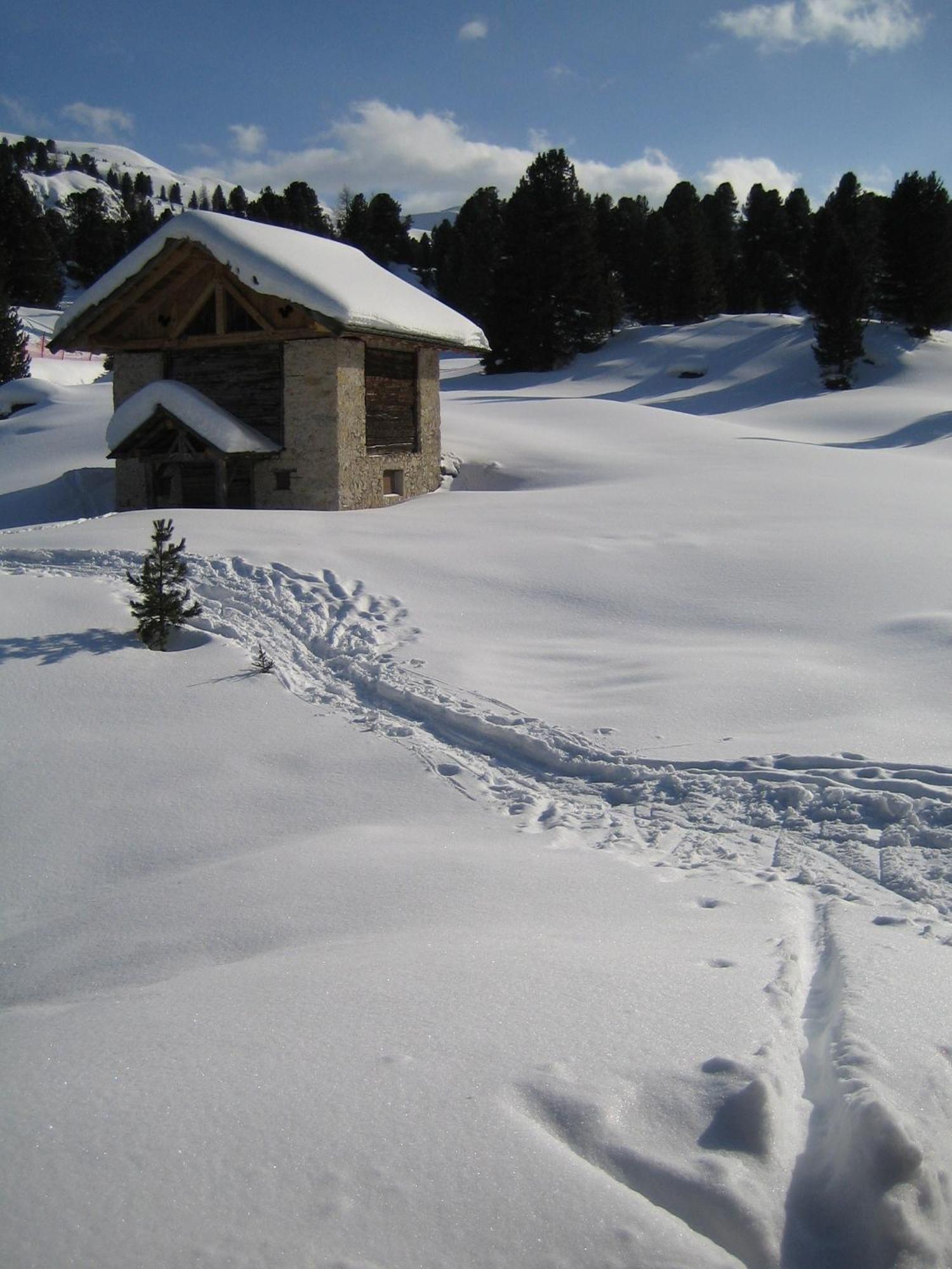 Отель Chalet Elisabeth Dolomites Alpin & Charme Сельва-ди-Валь-Гардена Экстерьер фото