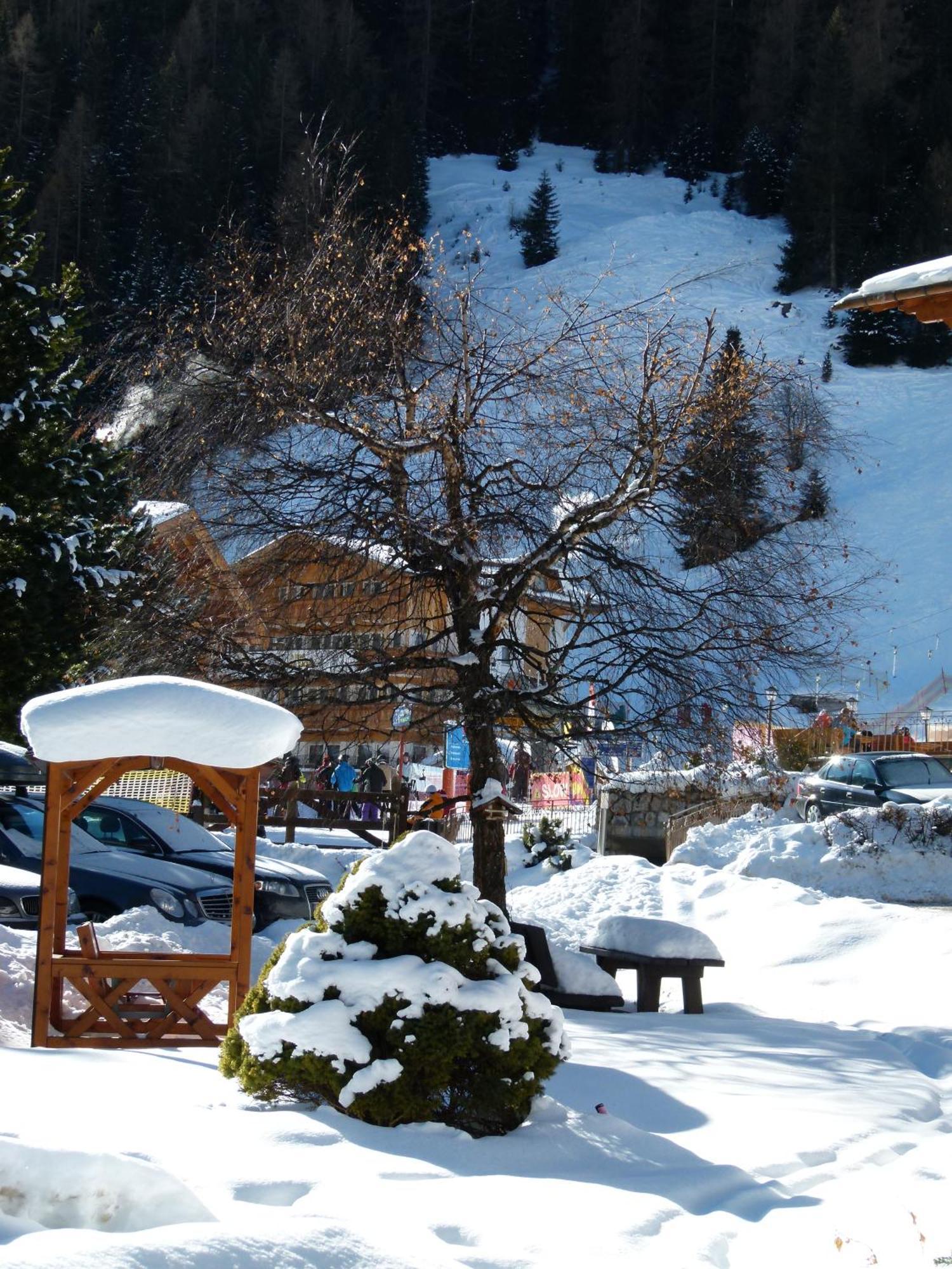 Отель Chalet Elisabeth Dolomites Alpin & Charme Сельва-ди-Валь-Гардена Экстерьер фото