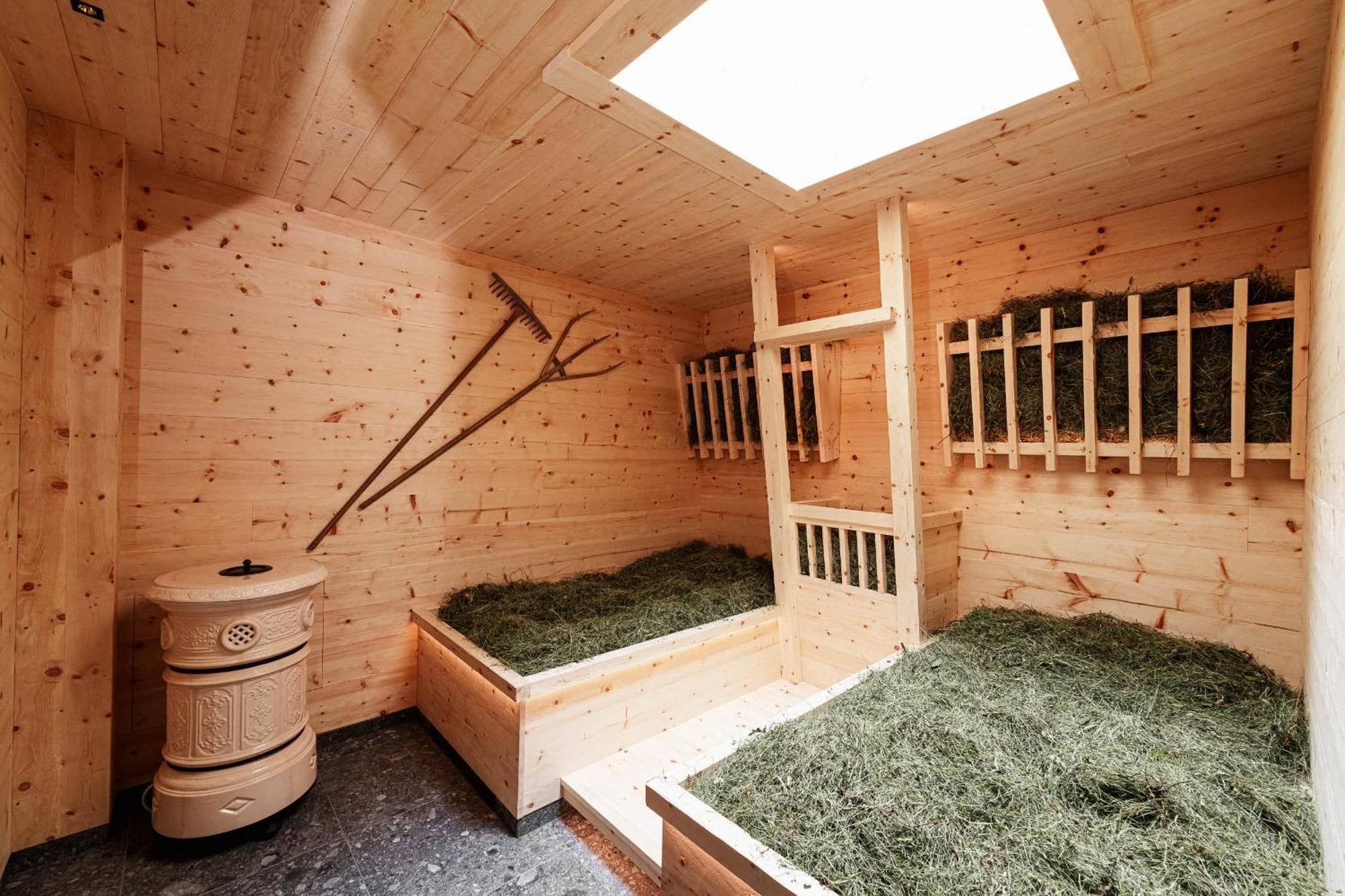 Chalet Elisabeth Dolomites Alpin & Charme Сельва-ди-Валь-Гардена Экстерьер фото