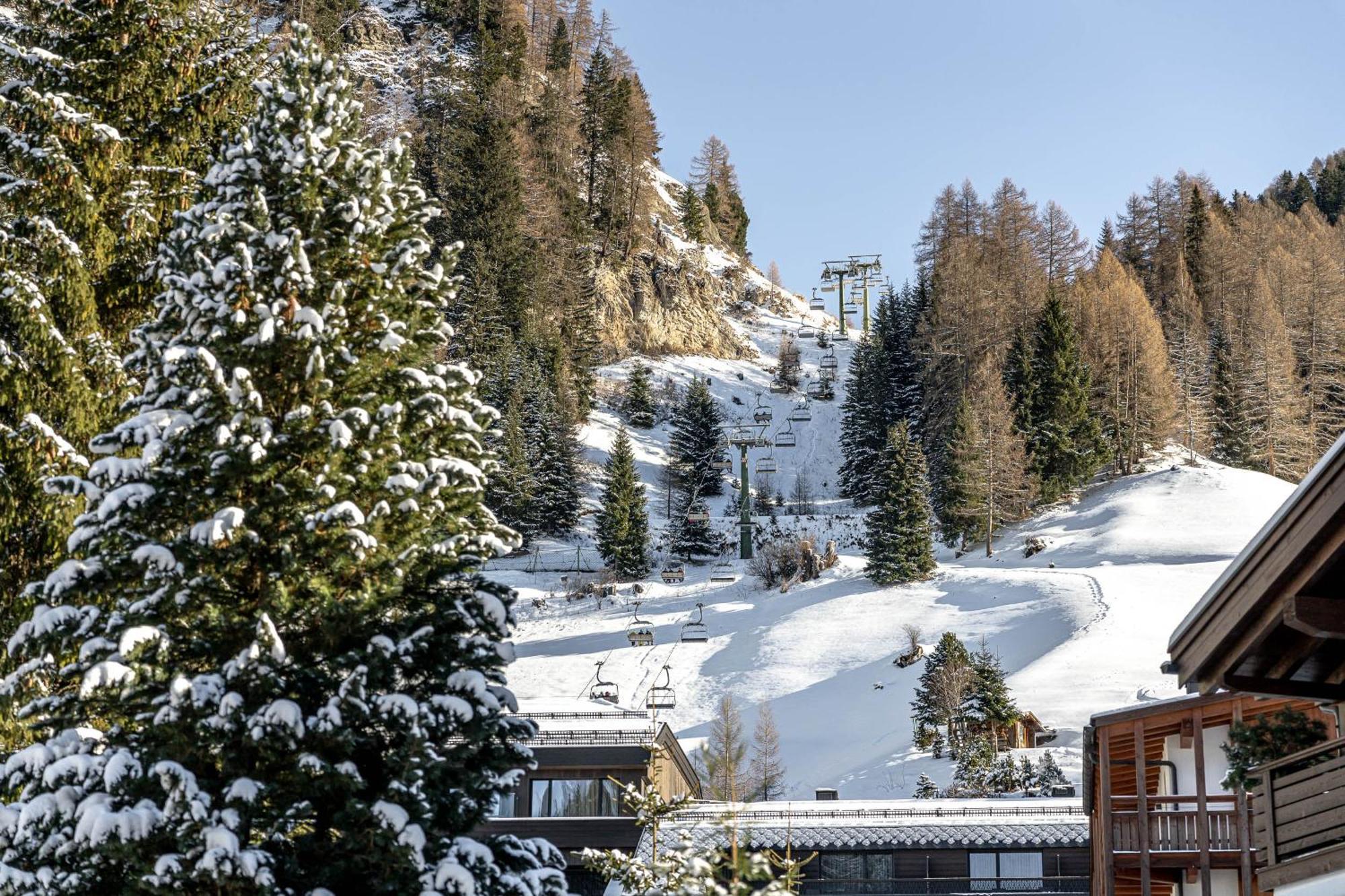 Chalet Elisabeth Dolomites Alpin & Charme Сельва-ди-Валь-Гардена Экстерьер фото